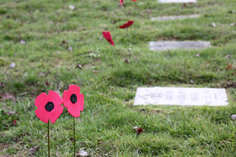 Illustration for article titled 2018 Remembrance Day at Mountain View Cemetery